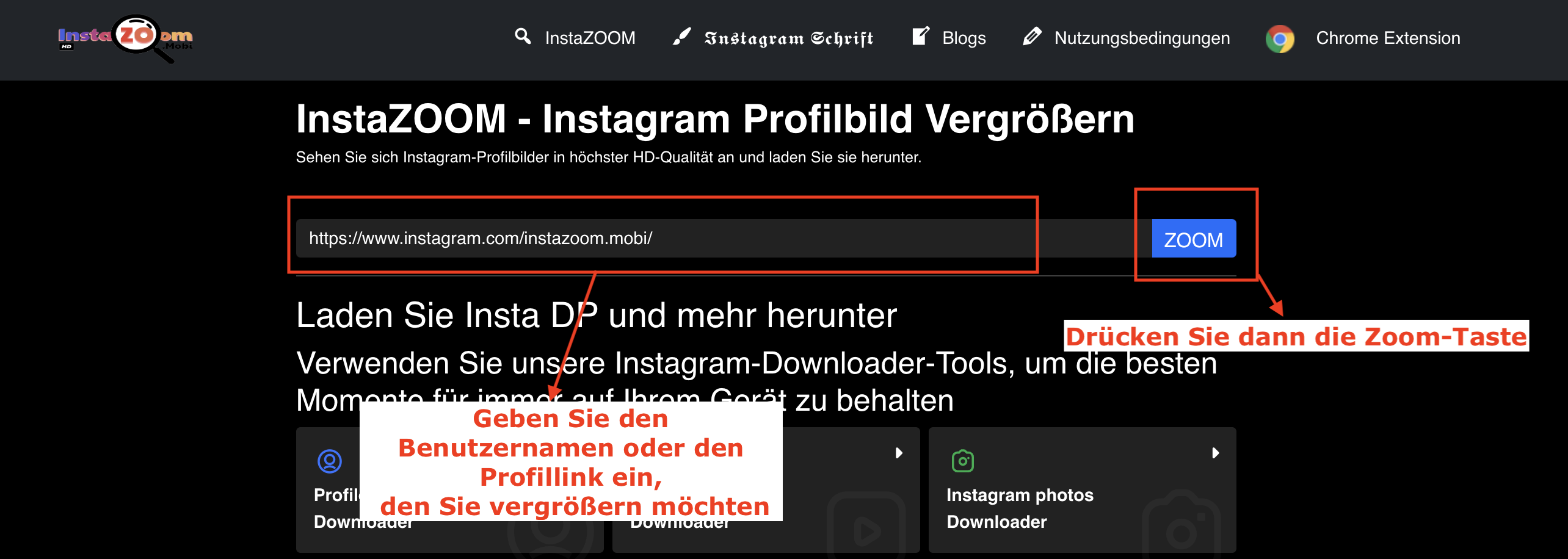 Schritt 2: Geben Sie die Instagram-URL oder den Benutzernamen in das Suchfeld auf der Website ein und drücken Sie dann die Schaltfläche „ZOOM“.